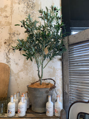 Olive Tree