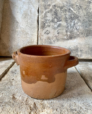 Thyme Herb Pot